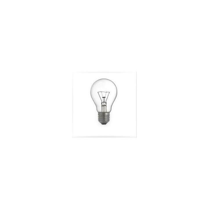 Ziarovka E27  100W    24V