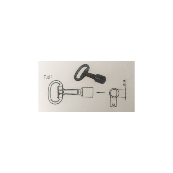 KLUC T1 TUTI