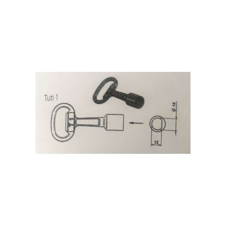 KLUC T1 TUTI