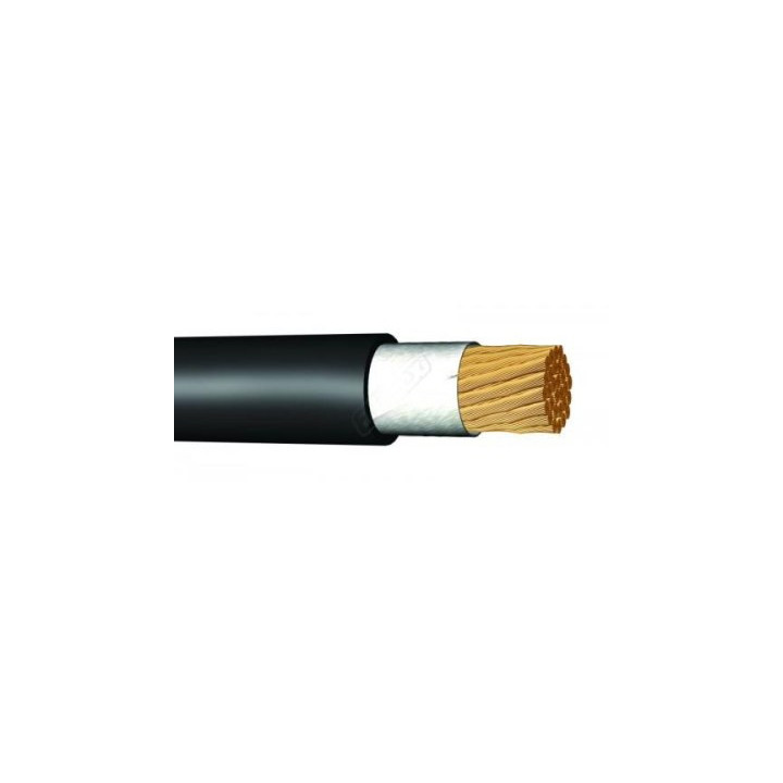 H01N2-D 25 (CGZ)