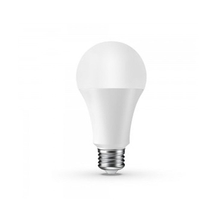 SKU4454  E27 15W 4500K 1500lm A65